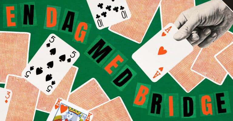EN DAG MED BRIDGE