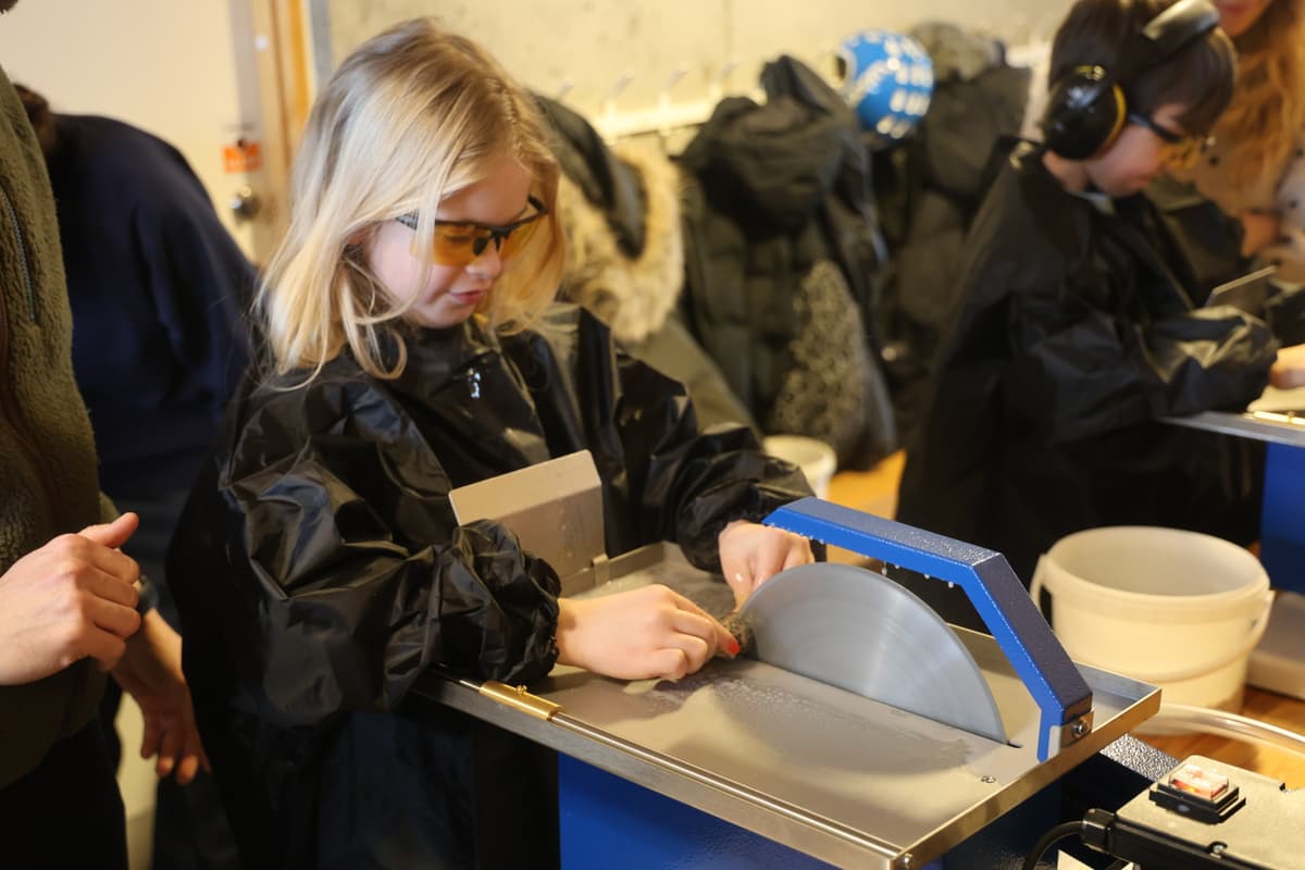 Workshop: Tag med på stenjagt og undersøg sten indeni (kræver tilmelding)