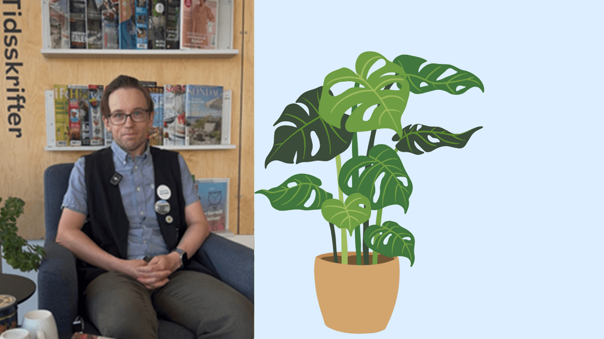Kaffe på kanden på dit lokale bibliotek