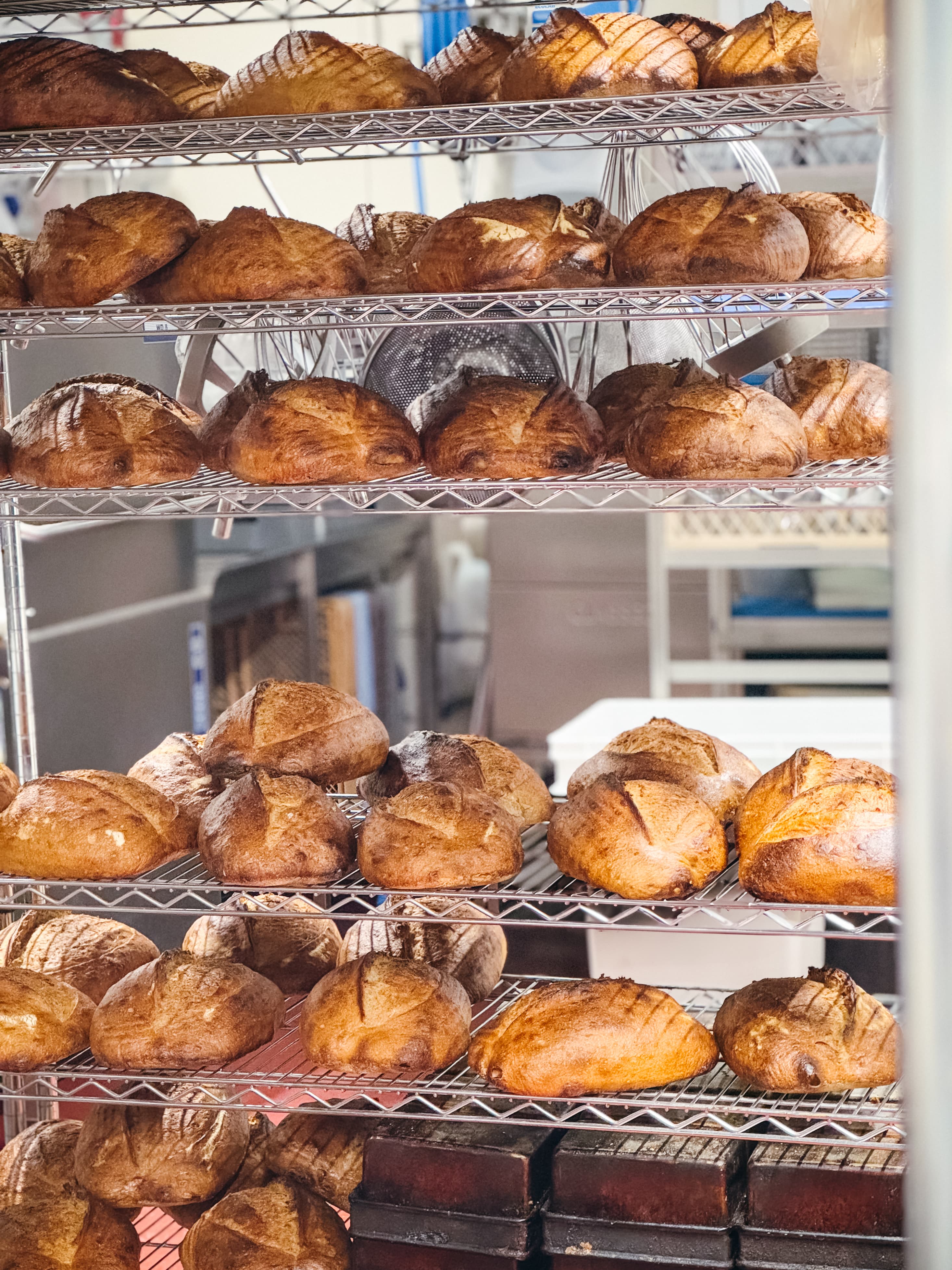 Sourdough workshop - advanced