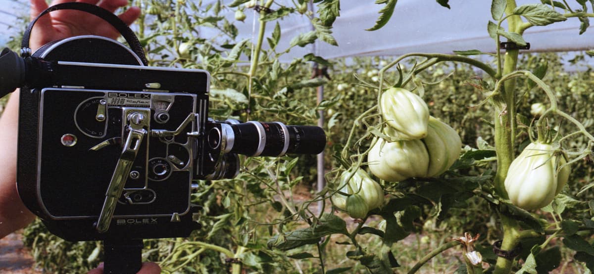 16mm film workshop