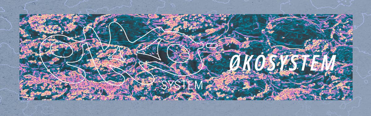 Ekkosystem / Økosystem