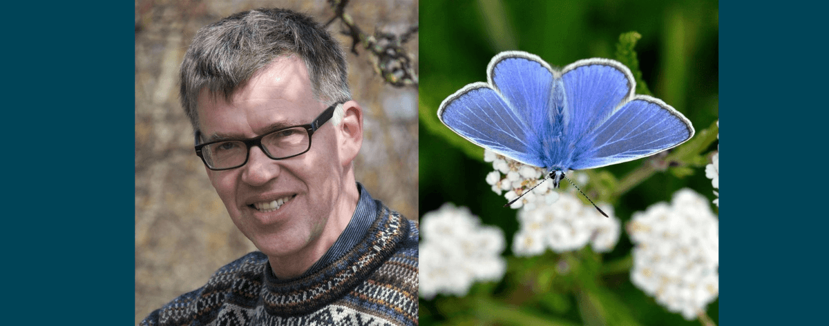 Sommerfugle i natur og kultur